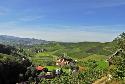 Schwarzwald Kurzurlaub
